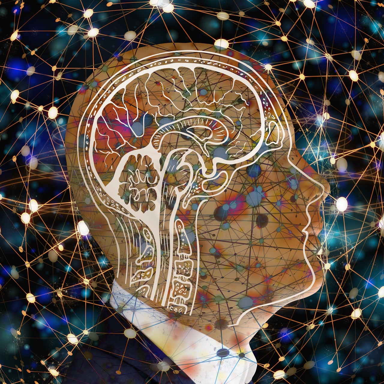 Illustration représentant le profil d'un individu en transparence, au travers duquel se dessine son cerveau